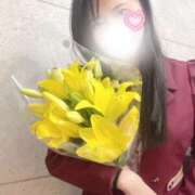 ヒメ日記 2025/11/09 23:58 投稿 いずみ 涼泉（りょうせん）