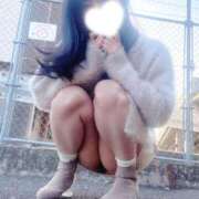 ヒメ日記 2026/03/15 17:04 投稿 いずみ 涼泉（りょうせん）