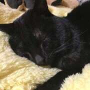 ヒメ日記 2025/02/20 22:32 投稿 さや チューリップ姫路店