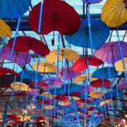 ヒメ日記 2025/10/04 08:46 投稿 さや チューリップ姫路店