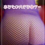 ヒメ日記 2025/10/31 17:02 投稿 阿刀田　たみ エテルナ京都