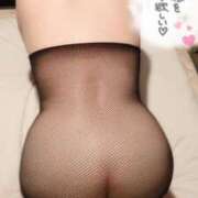 ヒメ日記 2025/11/20 17:02 投稿 阿刀田　たみ エテルナ京都