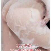 ヒメ日記 2026/03/28 20:32 投稿 阿刀田　たみ エテルナ京都