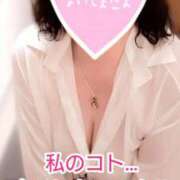 ヒメ日記 2026/09/26 15:04 投稿 阿刀田　たみ エテルナ京都