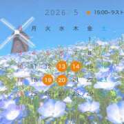 ヒメ日記 2026/04/30 21:36 投稿 虹架かる空に『シエル』 GOOD-グッド-
