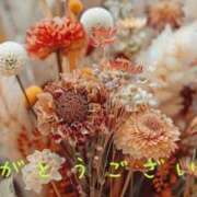 ヒメ日記 2024/12/17 10:28 投稿 なえ 奥鉄オクテツ大阪