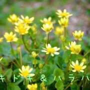 ヒメ日記 2025/02/17 13:41 投稿 なえ 奥鉄オクテツ大阪