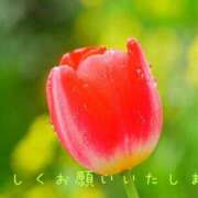 ヒメ日記 2025/03/05 11:25 投稿 なえ 奥鉄オクテツ大阪