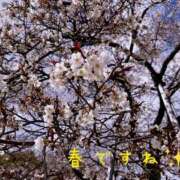 ヒメ日記 2025/04/06 11:39 投稿 なえ 奥鉄オクテツ大阪