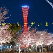 ヒメ日記 2025/04/07 08:32 投稿 なえ 奥鉄オクテツ大阪