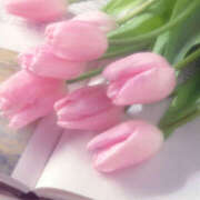 ヒメ日記 2025/04/24 08:45 投稿 なえ 奥鉄オクテツ大阪