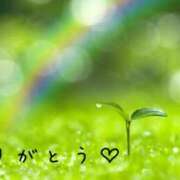 ヒメ日記 2025/04/29 10:19 投稿 なえ 奥鉄オクテツ大阪