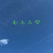 ヒメ日記 2025/05/20 11:55 投稿 なえ 奥鉄オクテツ大阪