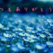 ヒメ日記 2025/05/30 19:47 投稿 なえ 奥鉄オクテツ大阪