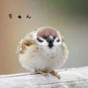 ヒメ日記 2025/07/30 22:12 投稿 なえ 奥鉄オクテツ大阪