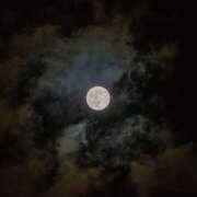 ヒメ日記 2025/11/06 07:45 投稿 なえ 奥鉄オクテツ大阪