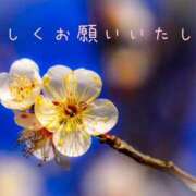 なえ 本日のご予約さま 奥鉄オクテツ大阪