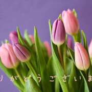 ヒメ日記 2026/03/15 07:56 投稿 なえ 奥鉄オクテツ大阪