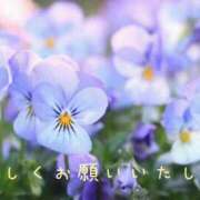 ヒメ日記 2026/03/20 08:21 投稿 なえ 奥鉄オクテツ大阪