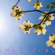 ヒメ日記 2026/04/24 07:25 投稿 なえ 奥鉄オクテツ大阪