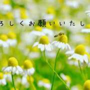 ヒメ日記 2026/04/24 11:10 投稿 なえ 奥鉄オクテツ大阪
