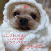 ヒメ日記 2025/01/15 14:03 投稿 れい 奥鉄オクテツ大阪