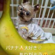 ヒメ日記 2025/01/22 15:58 投稿 れい 奥鉄オクテツ大阪