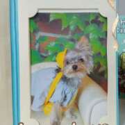 ヒメ日記 2025/02/10 14:36 投稿 れい 奥鉄オクテツ大阪