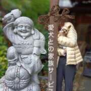 ヒメ日記 2025/03/05 19:00 投稿 れい 奥鉄オクテツ大阪