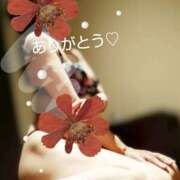 ヒメ日記 2025/05/24 15:03 投稿 れい 奥鉄オクテツ大阪