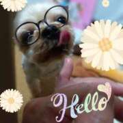 ヒメ日記 2025/06/13 14:32 投稿 れい 奥鉄オクテツ大阪