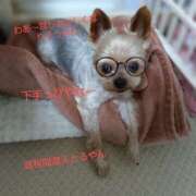 ヒメ日記 2025/08/03 13:06 投稿 れい 奥鉄オクテツ大阪