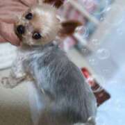 ヒメ日記 2025/08/06 19:42 投稿 れい 奥鉄オクテツ大阪