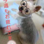 ヒメ日記 2025/08/23 00:13 投稿 れい 奥鉄オクテツ大阪