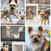 ヒメ日記 2025/09/20 16:57 投稿 れい 奥鉄オクテツ大阪