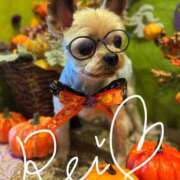 ヒメ日記 2025/10/06 15:24 投稿 れい 奥鉄オクテツ大阪