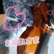 ヒメ日記 2025/11/29 14:24 投稿 れい 奥鉄オクテツ大阪