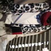 ヒメ日記 2025/12/15 21:32 投稿 れい 奥鉄オクテツ大阪