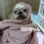 ヒメ日記 2025/12/19 13:14 投稿 れい 奥鉄オクテツ大阪