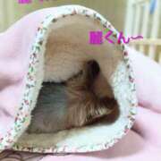 ヒメ日記 2025/12/28 23:19 投稿 れい 奥鉄オクテツ大阪