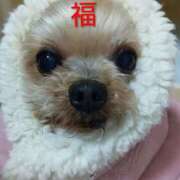 ヒメ日記 2026/01/04 12:43 投稿 れい 奥鉄オクテツ大阪