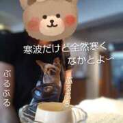 ヒメ日記 2026/01/25 13:50 投稿 れい 奥鉄オクテツ大阪