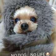 ヒメ日記 2026/02/09 15:43 投稿 れい 奥鉄オクテツ大阪