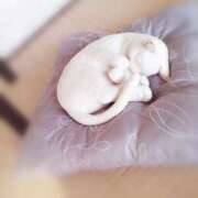 ヒメ日記 2025/03/21 22:32 投稿 ひみこ 奥鉄オクテツ兵庫