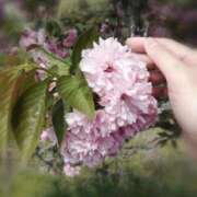 ヒメ日記 2025/04/25 21:08 投稿 ひみこ 奥鉄オクテツ兵庫