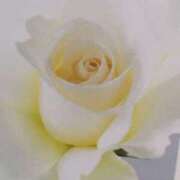 ヒメ日記 2025/07/08 21:27 投稿 ひみこ 奥鉄オクテツ兵庫