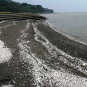 ヒメ日記 2025/08/13 09:50 投稿 ひみこ 奥鉄オクテツ兵庫