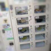 ヒメ日記 2025/10/09 17:36 投稿 ひみこ 奥鉄オクテツ兵庫