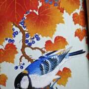 ヒメ日記 2025/11/11 23:41 投稿 ひみこ 奥鉄オクテツ兵庫