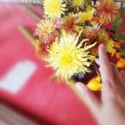 ヒメ日記 2025/11/14 10:23 投稿 ひみこ 奥鉄オクテツ兵庫